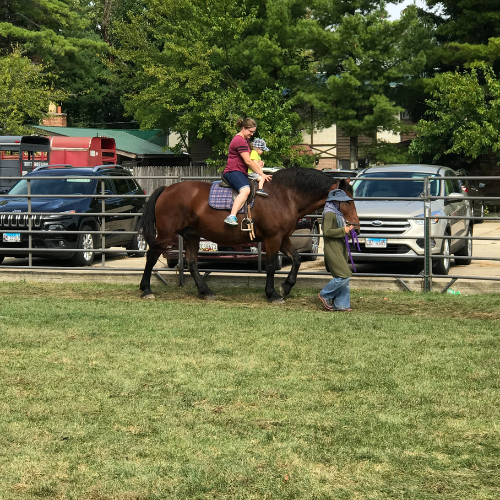 Prairieland Feed staff riding a horse