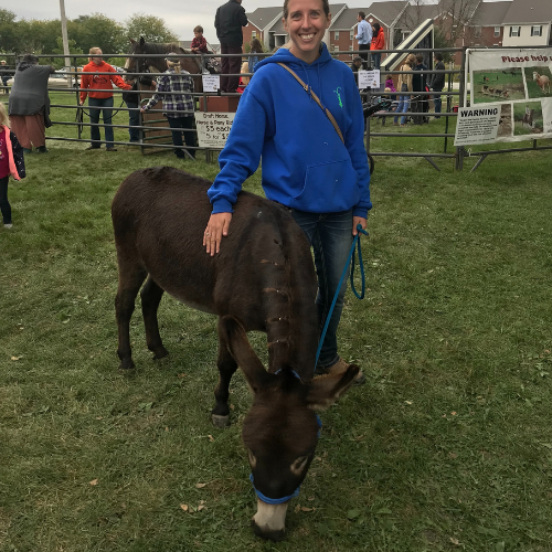 Prairieland Feeds staff walking a donkey with a lead