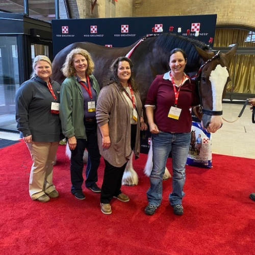 Prairieland Feeds staff standing in front of a show horse