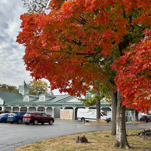 Prairielan Feeds store front with trees turning with autumn leaves in focus