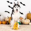 PetShop Stack-O-Lantern Rope Dog Toy