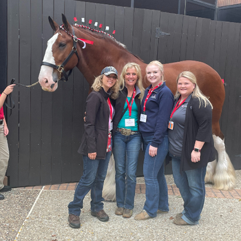 Prairieland staff standing in front of a show horse