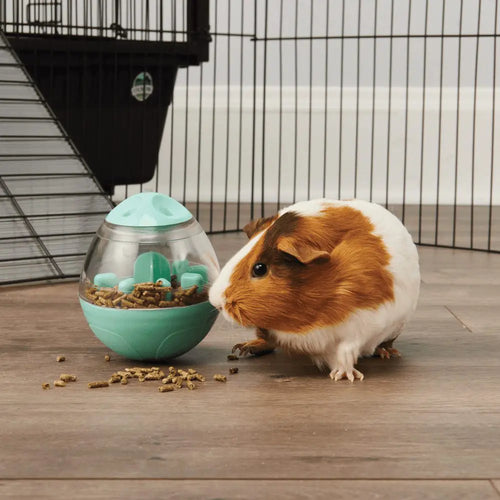 Oxbow Animal Health Enriched Life – Wobble Teaser