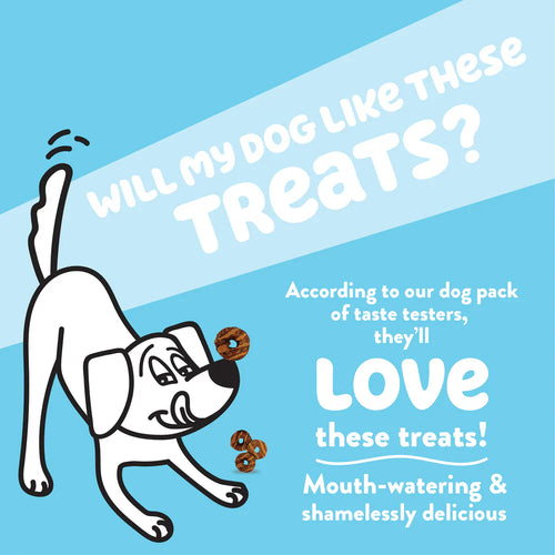 Shameless Pets Hole Lotta Cake Crunchy Dog Treats