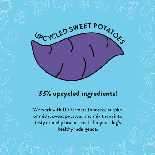 Shameless Pets Hole Lotta Cake Crunchy Dog Treats