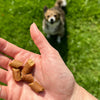 Otis Wild Things Trainers Bison Recipe Dog Treats