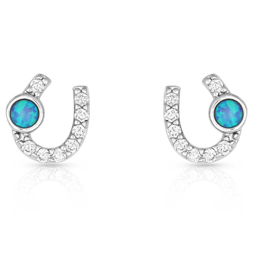 Montana Silversmiths Women's Lightfoot Horseshoe Earrings Silver