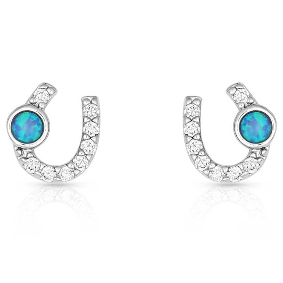 Montana Silversmiths Women's Lightfoot Horseshoe Earrings Silver