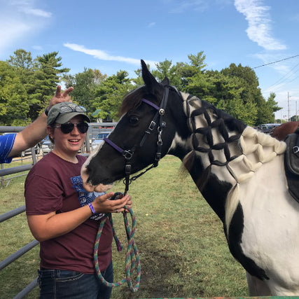 Horse Feed & SuppliesA horse with reins and a braided mane