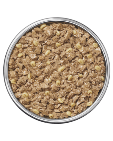 Purina Pro Plan Savory Meals Braised Turkey Entrée With Barley Wet Dog Food