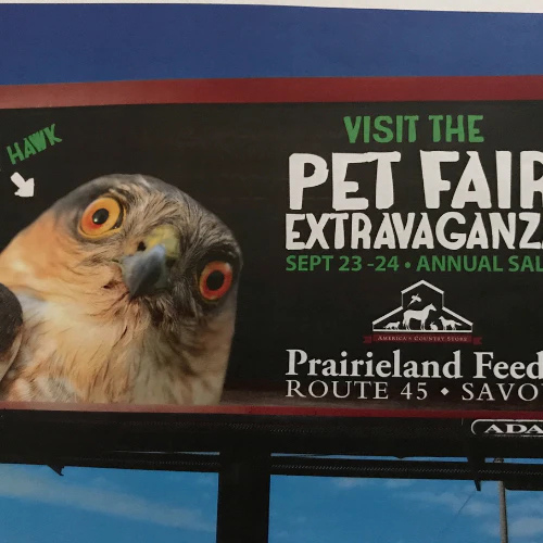 a billboard with a hawk advertising Prairieland Feed 