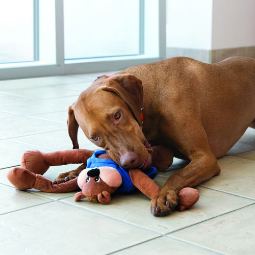 Kong Puzzlement Hippo Dog Toy