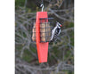 Songbird Essentials Dual Suet Feeder Red