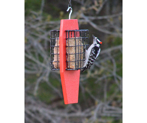 Songbird Essentials Dual Suet Feeder Red