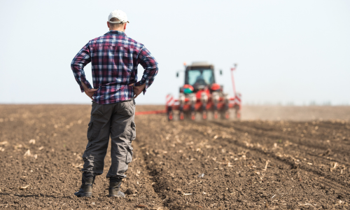 A farmer standing in a field watching a tractor.