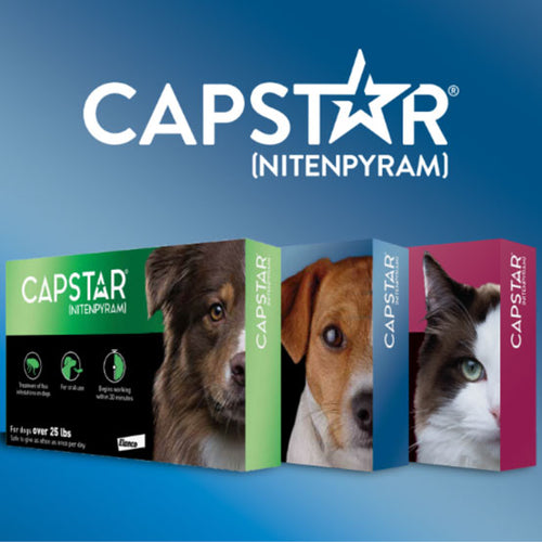 Capstar Insert Capstar for Dogs & Cats - Savoy, IL - Prairieland Feeds