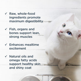 Nature's Variety Instinct Raw Frozen Pollock Bites Cat Food