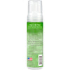 TropiClean Dander Reducing Waterless Cat Shampoo