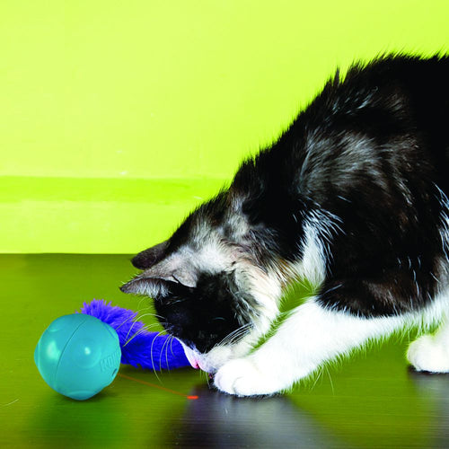 Kong Laser Craze Cat Toy