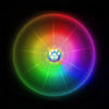 Nite Ize Flashflight Dog Discuit LED Flying Disc