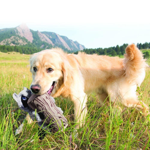 KONG Huggz Hiderz Raccoon Plush Dog Toy