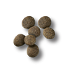 Pro Plan Sensitive Skin & Stomach Salmon & Rice Large Breed Probiotic Dry Puppy Food