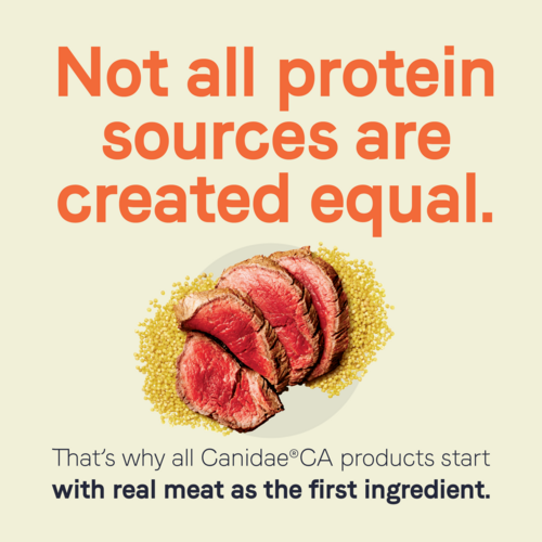 Canidae CA-20 Real Beef Recipe with Wholesome Grains