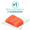 Purina ONE Tender Selects Blend Real Salmon Dry Cat Food