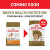Royal Canin Breed Health Nutrition Poodle Adult Dry Dog Food