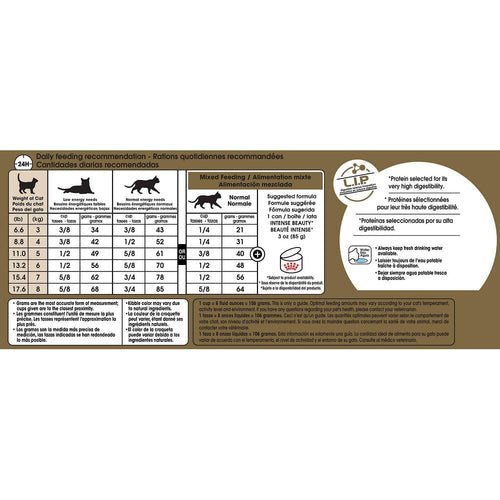 Royal Canin Feline Breed Nutrition Adult Ragdoll Dry Cat Food