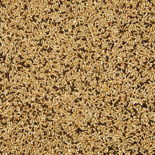 Kaytee Supreme Canary & Finch Food