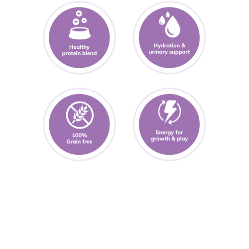 Wellness Complete Health™ Pâté Salmon & Trout