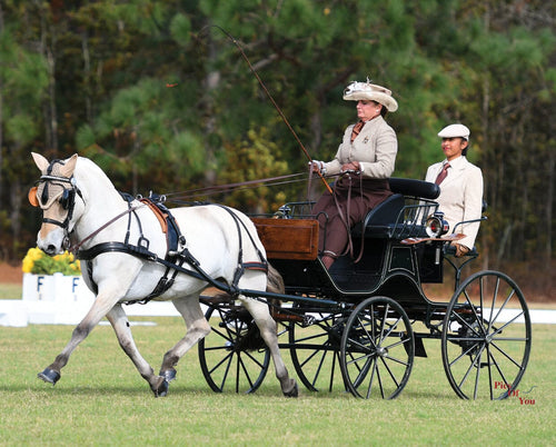 Breyer Sweetwater's Zorah Belle Action Figure