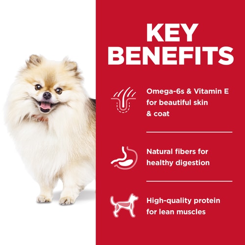 Hill's® Science Diet® Adult Small Bites No Corn, Wheat, Soy Dog Food