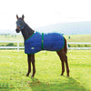 WEATHERBEETA 420D FOAL STANDARD NECK MEDIUM NAVY/HUNTER NEWBORN 28-42