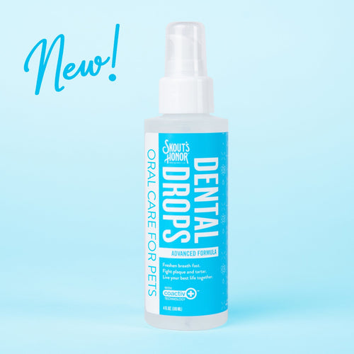 Skout's Honor Oral Care Advanced Formula Dental Drops