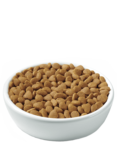 Purina Pro Plan Adult Indoor Turkey & Rice Formula Dry Cat Food
