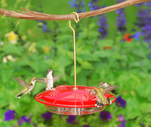 Aspects HummZinger Ultra With Nectar Guard Hummingbird Feeder