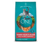 Purina ONE Tender Selects Blend Real Salmon Dry Cat Food