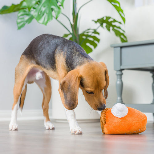 Huxley & Kent Punkin Pie Plush Dog Toy