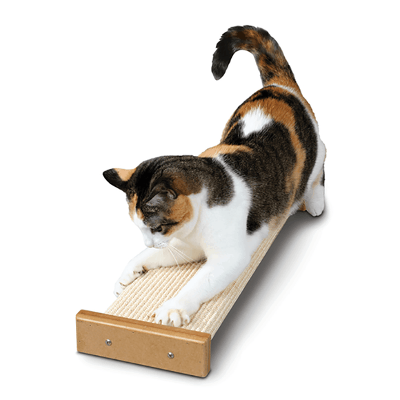 acana appalachian ranch cat ingredients food ACANA Highest Protein Appalachian Ranch Recipe Dry Dog Food main image 0