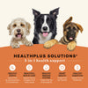 Canidae All Life Stages Dry Dog Food Real Salmon & Ancient Grains Recipe