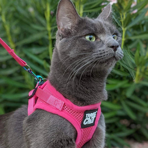 Travel Cat The Purrfectly Pink Iridescent Limited-Edition Harness & Leash Set
