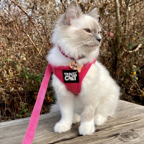 Travel Cat The Purrfectly Pink Iridescent Limited-Edition Harness & Leash Set
