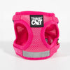 Travel Cat The Purrfectly Pink Iridescent Limited-Edition Harness & Leash Set