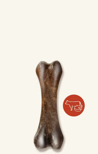 Zeus Nosh Strong Chew Bone Dog Treats