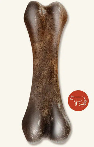 Zeus Nosh Strong Chew Bone Dog Treats