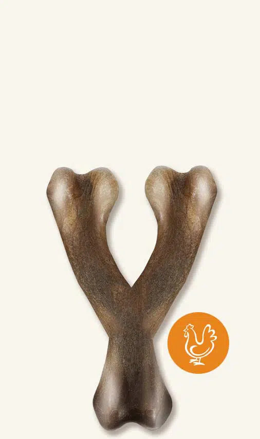 Zeus Nosh Strong Wishbone Chew Dog Treats