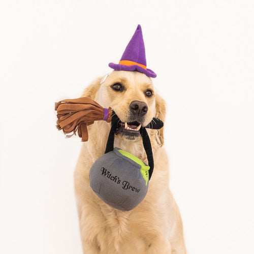 ZippyPaws Halloween Costume Kit – Witch Dog Toy