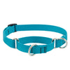 Lupine Pet Basic Solids Martingale Collars for Training